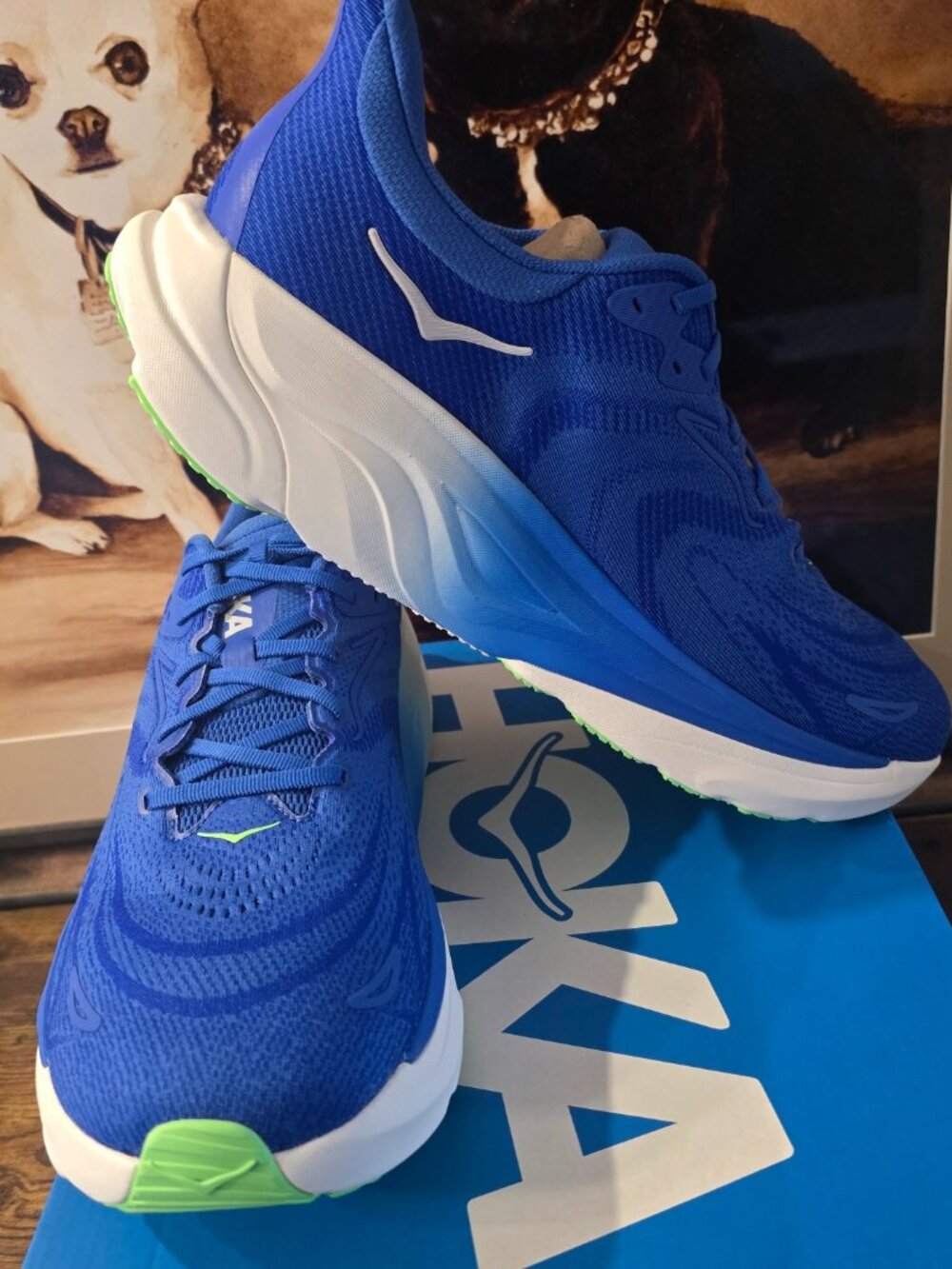 Hoka One One Arahi 8 1168690-CBLTB Blue Running Shoes Sneakers Mens 11 NEW
